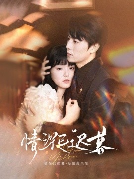 情深已迟暮全集