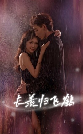 长羡归飞鹤全集