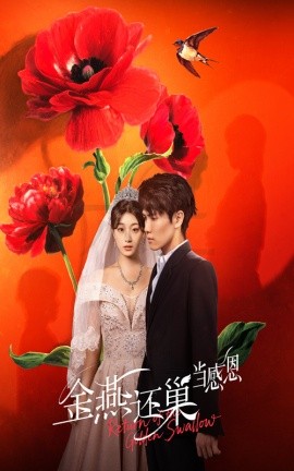 金燕还巢当感恩全集