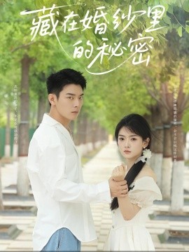 藏在婚纱里的秘密全集