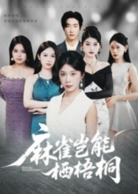 麻雀岂能栖梧桐全集