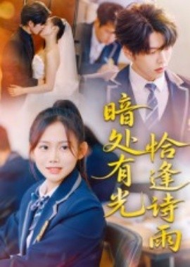 暗处有光恰逢诗雨全集