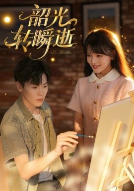 韶光转瞬逝全集