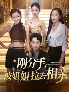 刚分手被姐姐拉去相亲全集