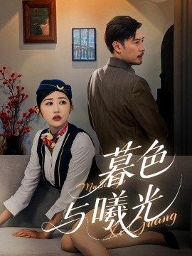 暮色与曦光全集