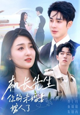 机长先生，你的未婚妻嫁人了全集