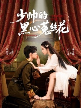 少帅的黑心菟丝花全集