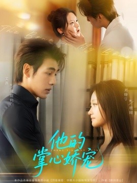 他的掌心娇宠全集