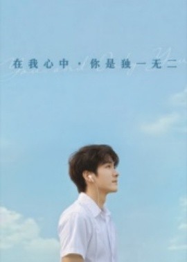 在我心中你是独一无二全集