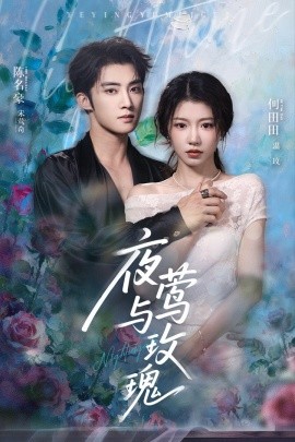 夜莺与玫瑰短剧全集