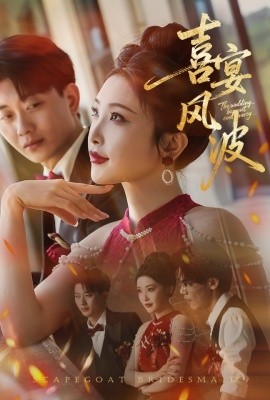 喜宴风波 替罪伴娘全集