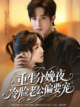 重生分娩夜冷脸老公偏要宠全集