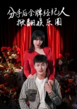 分手后金牌经纪人掀翻娱乐圈全集