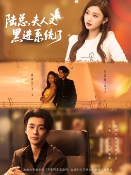 陆总夫人又黑进系统了全集