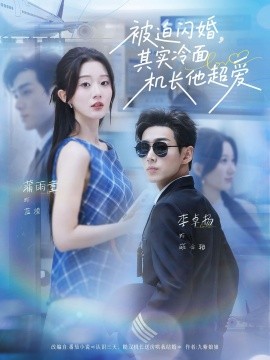 被迫闪婚其实冷面机长他超爱全集