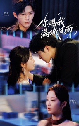 你赐我满城风雨全集