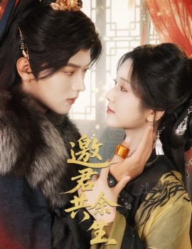 邀君共余生全集