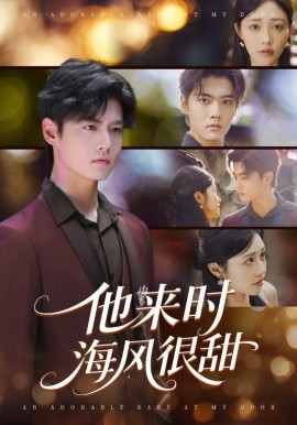 他来时海风很甜全集