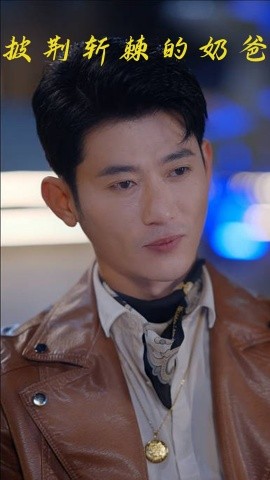 披荆斩棘的奶爸全集