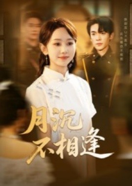 月沉不相逢全集