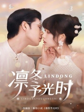 凛冬予光时全集