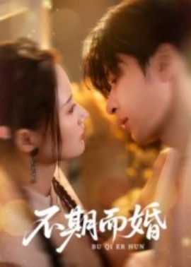 不期而婚全集
