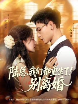 陆总我们都重生了别离婚全集