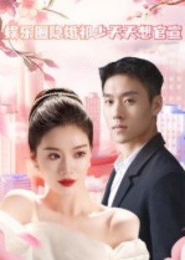 娱乐圈隐婚祁少天天想官宣全集