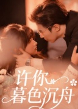 许你暮色沉舟全集