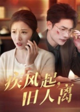 疾风起旧人离短剧全集