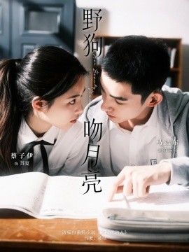 野狗吻月亮全集