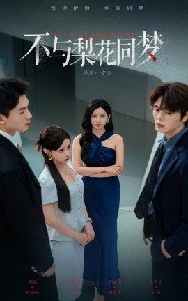 不与梨花同梦全集