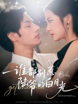 谁都别惹陆爷的白月光全集