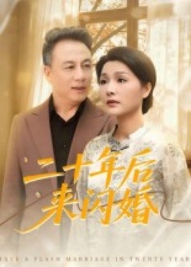 二十年后来闪婚全集