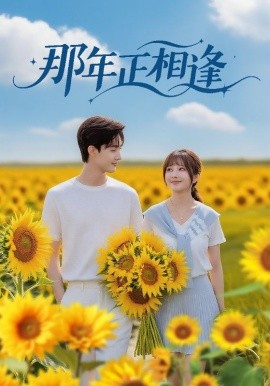 那年正相逢全集