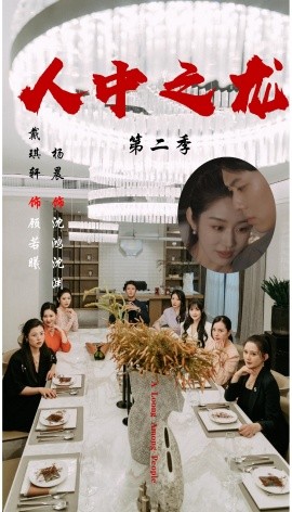 人中之龙第二季全集