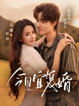 今日宜复婚全集