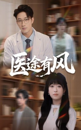 医途有风全集