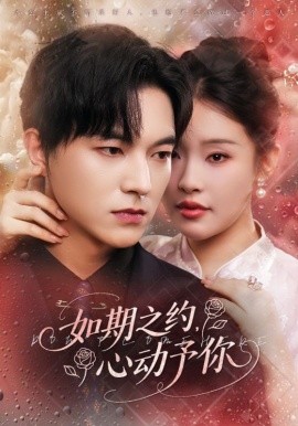 如期之约心动予你全集