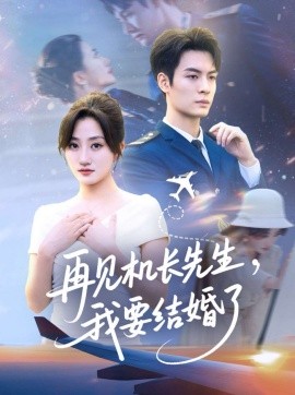 再见机长先生，我要结婚了全集