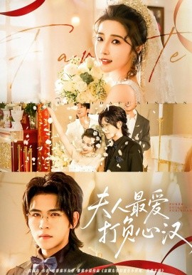 夫人最爱打负心汉全集