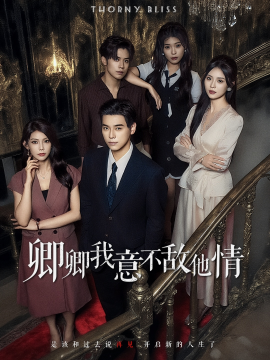 卿卿我意不敌他情全集