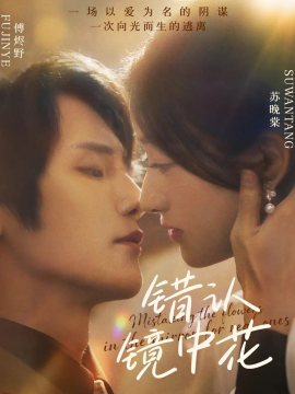 错认镜中花全集