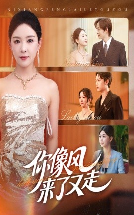 你像风来了又走全集