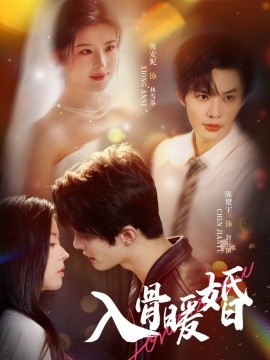 入骨暖婚全集