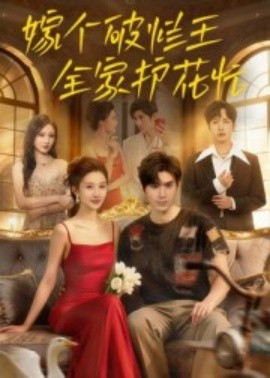 嫁个破烂王，全家护花忙全集