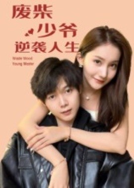 废柴少爷的逆袭人生全集