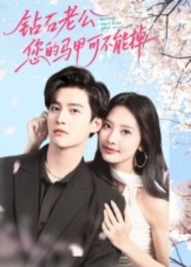 钻石老公，您的马甲不能掉全集