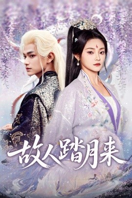 故人踏月来全集