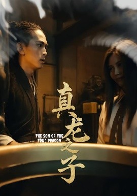 真龙之子 灵途 龙娘全集